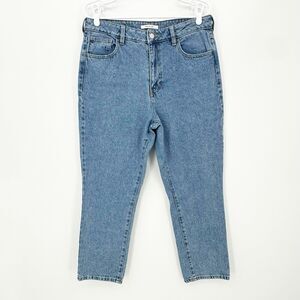 Pacsun Women Mom Jeans 30 Blue Medium Wash Zip Fly Normcore Momcore Vtg-Inspired